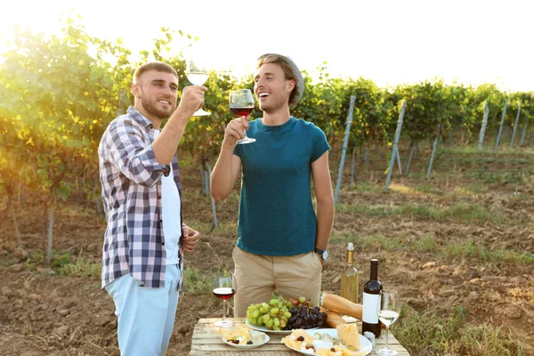 Vrienden Proeven Van Wijn Plezier Wijngaard Picknick — Stockfoto