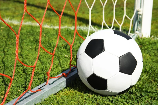 Soccer ball near net on green football field grass