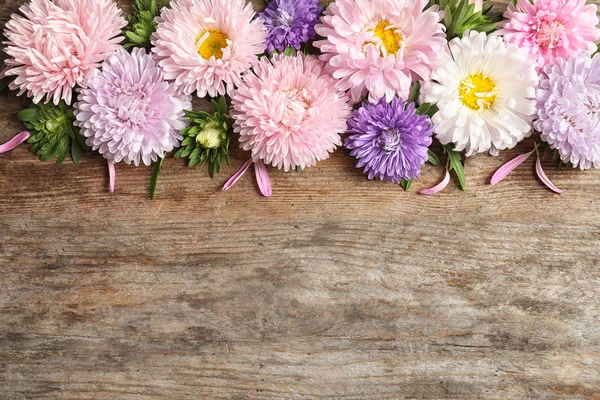 Vackra Aster Blommor Och Utrymme För Text Trä Bakgrund Platt — Stockfoto