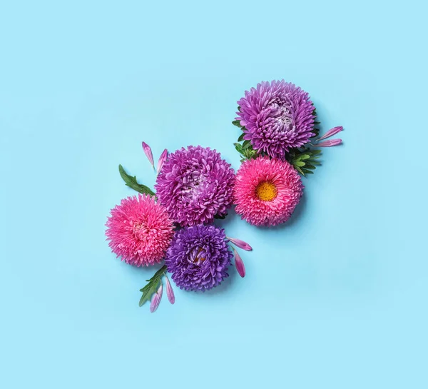 Hermosas Flores Aster Sobre Fondo Color Vista Superior — Foto de Stock