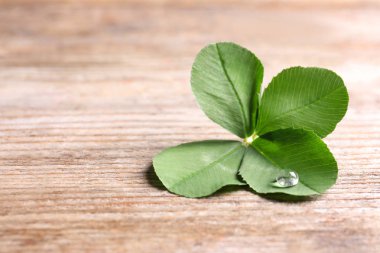 Metin için yer ahşap zemin üzerine yeşil dört yapraklı yonca