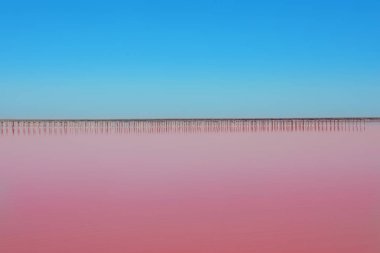 Yaz gününde pembe Gölü'nün güzel manzara