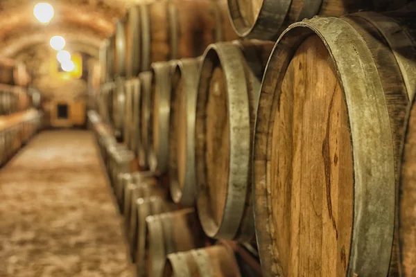 ワインセラー クローズ アップで大きな木樽 — ストック写真