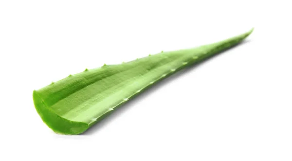 Hoja Aloe Vera Sobre Fondo Blanco —  Fotos de Stock