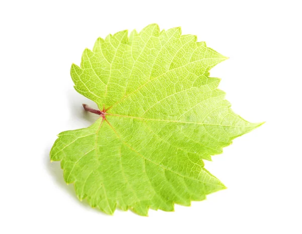 Fresh Green Grape Leaf White Background — Stock Photo, Image