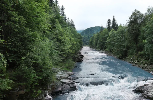 Río Salvaje Montaña Que Fluye Largo Las Orillas Rocosas Bosque —  Fotos de Stock