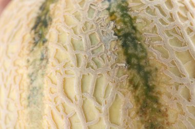 Doku taze olgun karpuz kabuğu, closeup görünümü