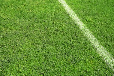 Taze yeşil futbol alan çim arka plan olarak