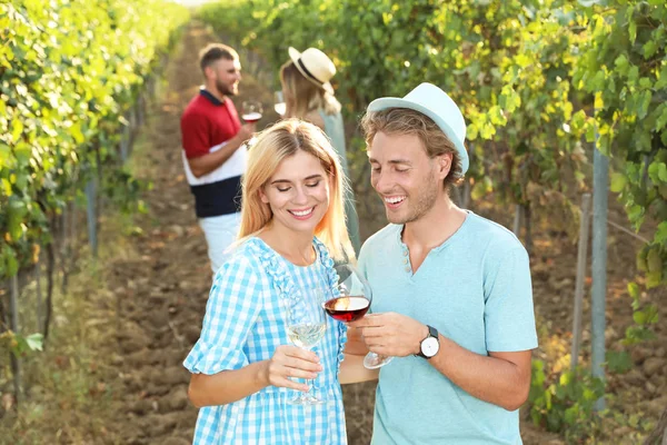 Vrienden Houden Van Glazen Wijn Plezier Wijngaard Picknick — Stockfoto