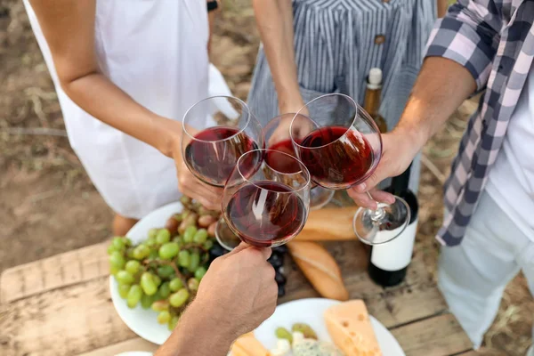 Amis Tenant Des Verres Vin Sur Table Pique Nique Vignoble — Photo