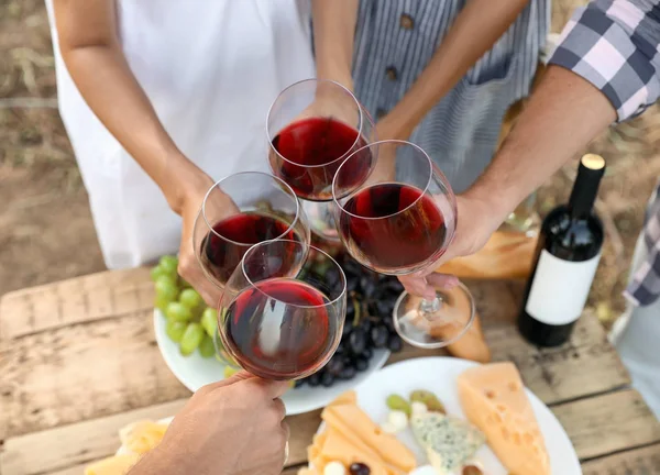 Amis Tenant Des Verres Vin Sur Table Pique Nique Vignoble — Photo