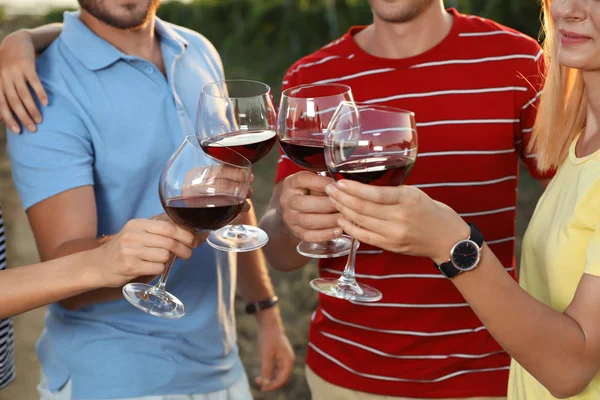 Jonge Knappe Man Met Glas Wijn Wijngaard Een Zonnige Dag — Stockfoto