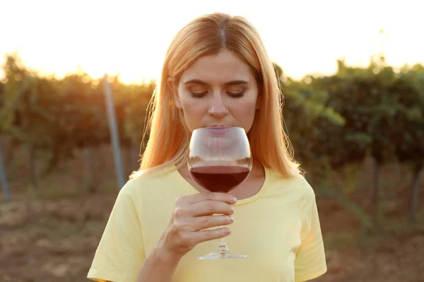 Молодая Красивая Женщина Наслаждается Вином Винограднике Солнечный День — стоковое фото