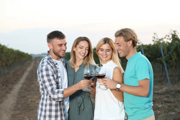 Vrienden Houden Van Glazen Wijn Plezier Wijngaard Picknick — Stockfoto