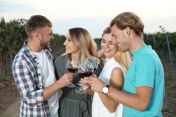 Elinde Kadeh Şarap Üzüm Bağı Pikniğe Eğleniyor Arkadaşlar — Stok fotoğraf