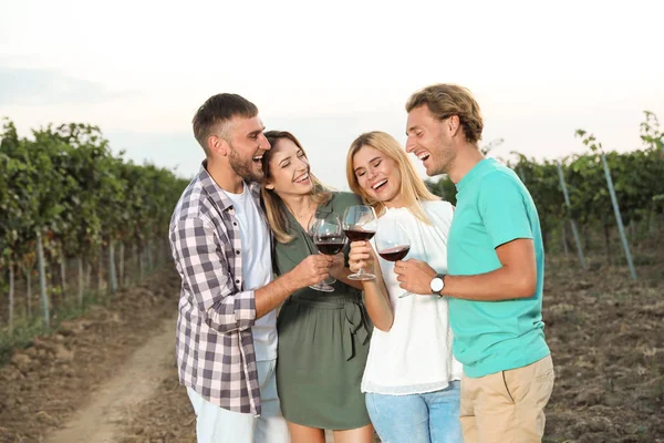 Vrienden Houden Van Glazen Wijn Plezier Wijngaard Picknick — Stockfoto