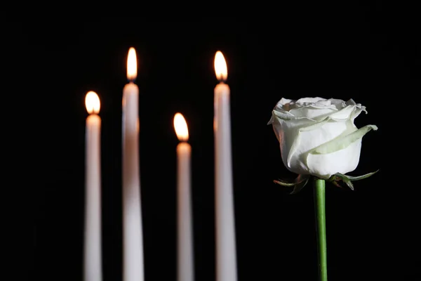 Weiße Rose Und Verschwommene Brennende Kerzen Der Dunkelheit Raum Für — Stockfoto