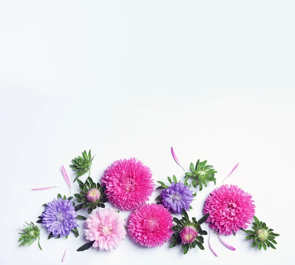 Gyönyörű Aster Virágok Fehér Háttér Felülnézet Hely Szöveg — Stock Fotó