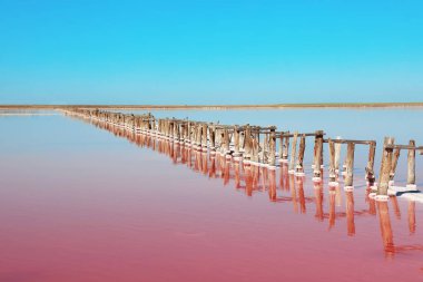 Yaz gününde pembe Gölü'nün güzel manzara