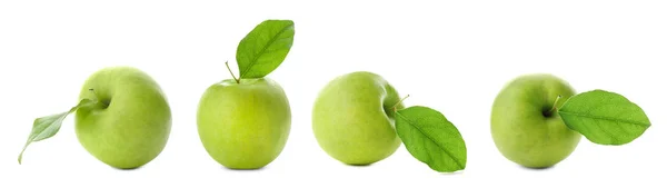在白色背景上设置美味的绿色苹果 — 图库照片