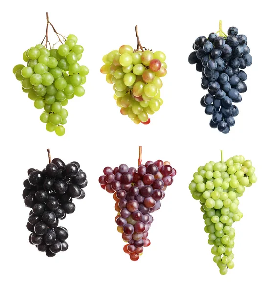 Conjunto Com Diferentes Uvas Maduras Sobre Fundo Branco — Fotografia de Stock