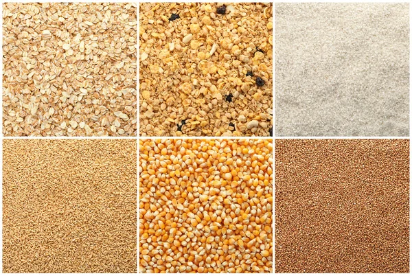 Conjunto Com Diferentes Cereais Como Fundo — Fotografia de Stock