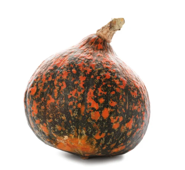 Fresh Raw Pumpkin Isolated White Organic Plant — Stock Photo, Image