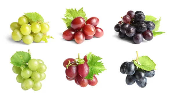 Set Met Verschillende Rijpe Druiven Witte Achtergrond — Stockfoto