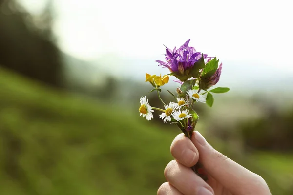 Frau Hält Strauß Schöner Wiesenblumen Vor Verschwommenem Hintergrund — Stockfoto