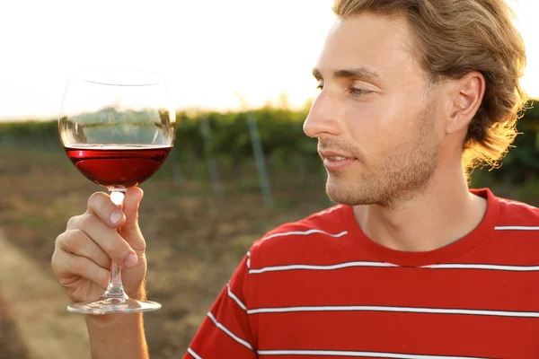 Jeune Homme Beau Dégustant Vin Vignoble Par Une Journée Ensoleillée — Photo
