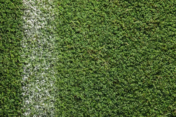 Grama Campo Futebol Verde Fresco Como Fundo — Fotografia de Stock