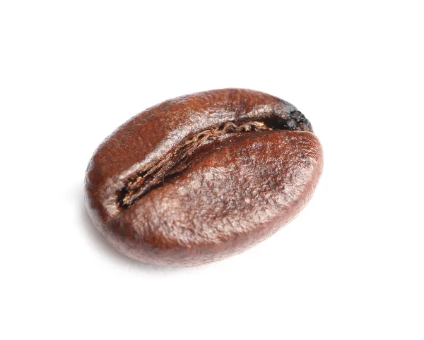 Enda Rostat Kaffe Bean Vit Bakgrund — Stockfoto