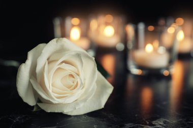 Beyaz gül ve karanlık tabloda, metin için yer mum yanan bulanık. Cenaze sembolü