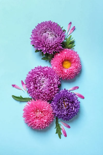 Hermosas Flores Aster Sobre Fondo Color Vista Superior — Foto de Stock