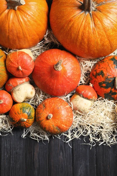 Flache Lagekomposition Mit Verschiedenen Kürbissen Auf Holzgrund Herbstferien — Stockfoto