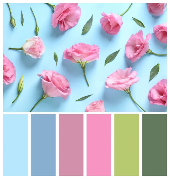 Flache Komposition Mit Eustoma Blüten Und Grünen Blättern Auf Blauem — Stockfoto