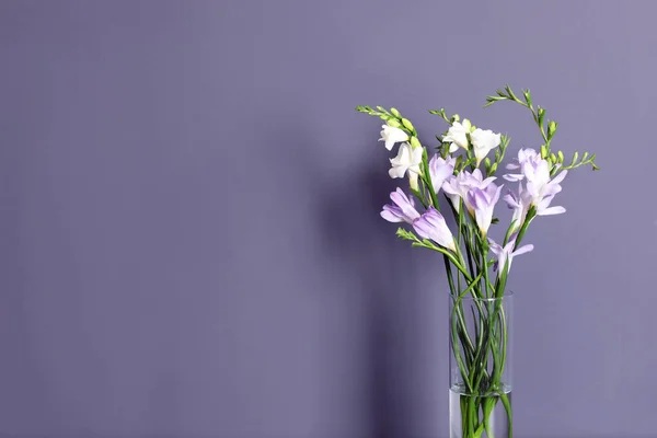 Красиві Квіти Ароматної Фрезії Вазі Просторі Тексту Кольоровому Фоні — стокове фото