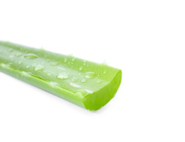 beyaz zemin üzerinde aloe vera yaprağı