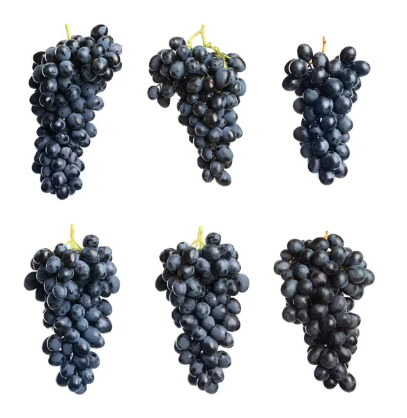 Set Met Sappige Rijpe Druiven Witte Achtergrond — Stockfoto