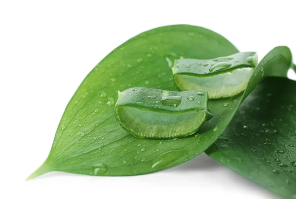 Fresh Aloe Vera Slices Leaf White Background — Stock Photo, Image