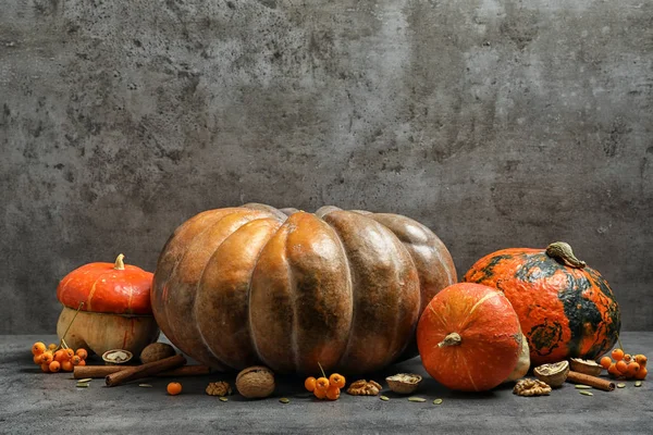 Verschillende Pompoenen Tafel Tegen Grijze Muur Herfstvakantie — Stockfoto