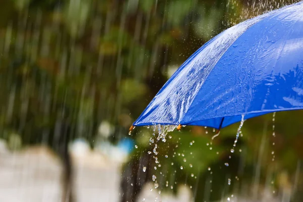 Guarda Chuva Brilhante Sob Chuva Rua Close — Fotografia de Stock