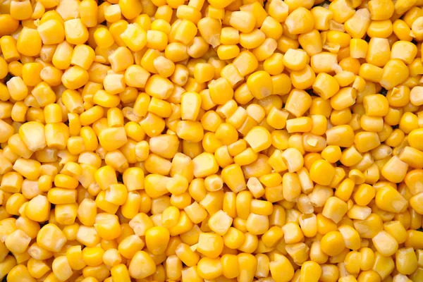 トップ ビューの背景として熟したトウモロコシの穀粒 — ストック写真