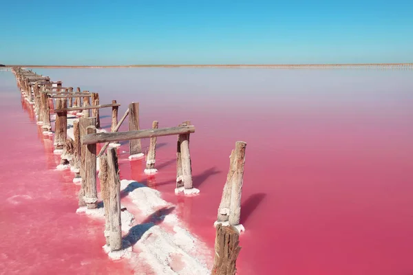 夏の日にピンクの湖の美しい景色 — ストック写真