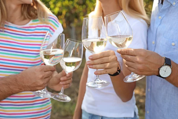 Friends Holding Glasses Wine Having Fun Vineyard Picnic — Stock Photo, Image