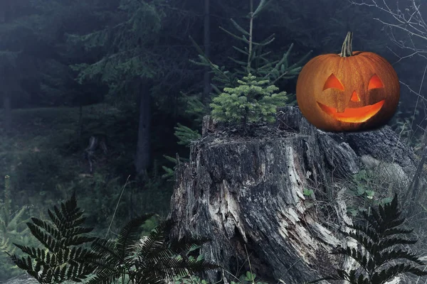 Cadılar Bayramı Balkabağı kafa jack fener üzerinde karanlık ürkütücü ormandaki ağaç kütüğü