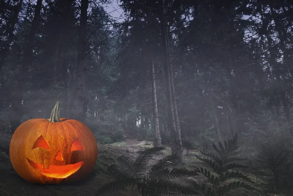 Cadılar Bayramı Balkabağı kafa jack fener yerde karanlık korkunç orman