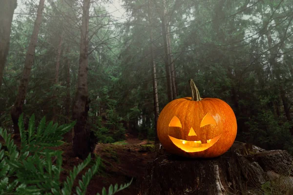 Cadılar Bayramı Balkabağı kafa jack fener üzerinde karanlık ürkütücü ormandaki ağaç kütüğü