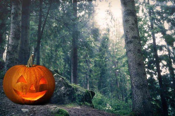 Cadılar Bayramı Balkabağı kafa jack fener yerde karanlık korkunç orman