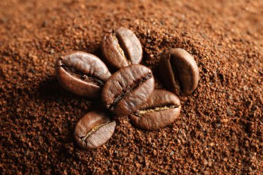 Taze kahve telvesi ve kavrulmuş fasulye, portre